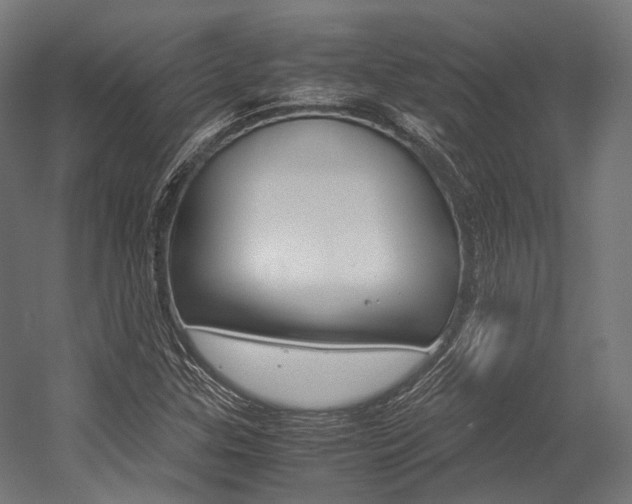 X0000054471307200507291037