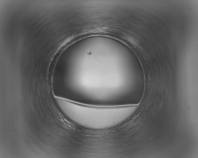 X0000054471308200507291037