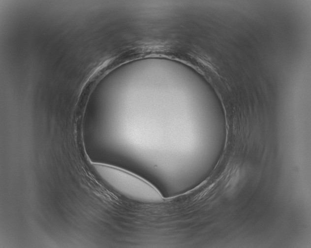 X0000054471309200507291037
