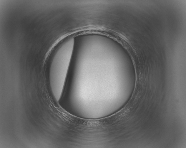 X0000054471310200507291037