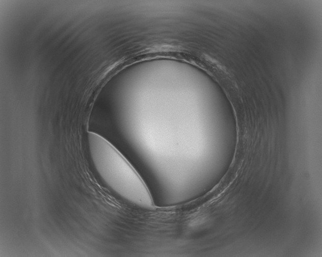 X0000054471313200507291037