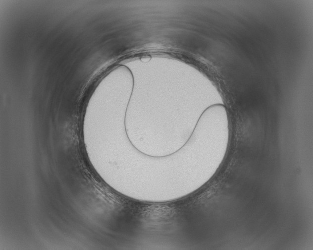 X0000054471314200507291037