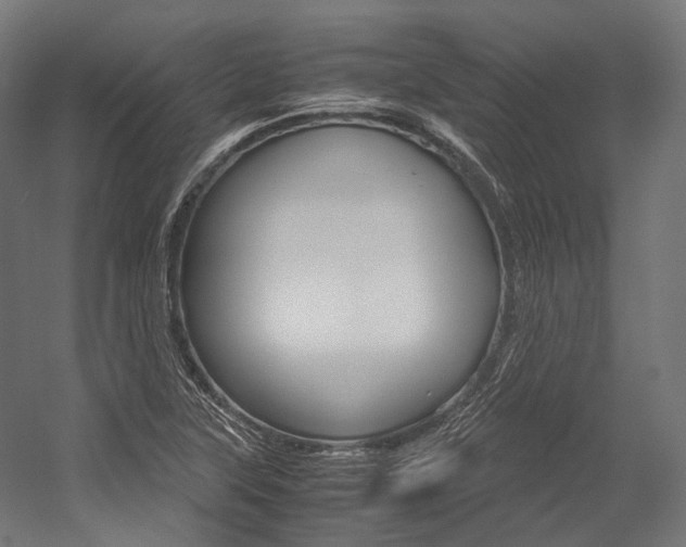 X0000054471315200507291037