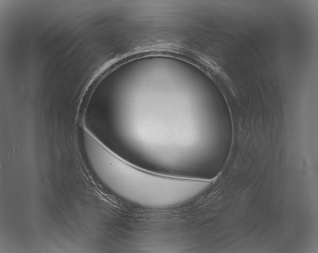X0000054471316200507291037