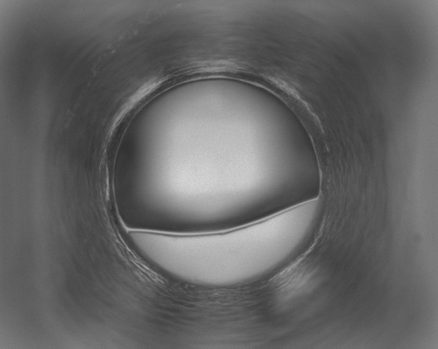 X0000054471317200507291037