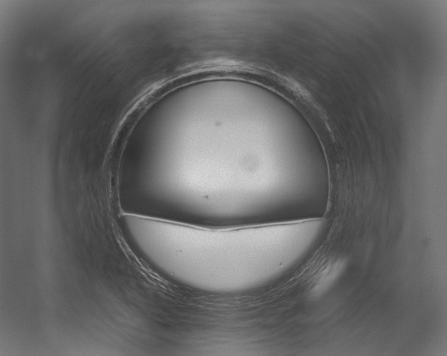 X0000054471318200507291037