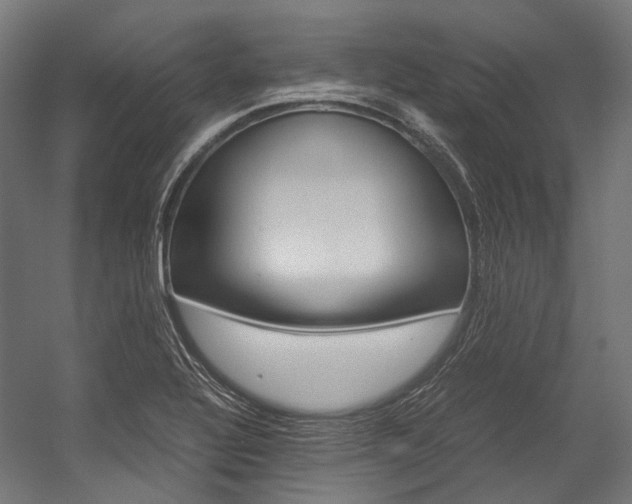 X0000054471320200507291037