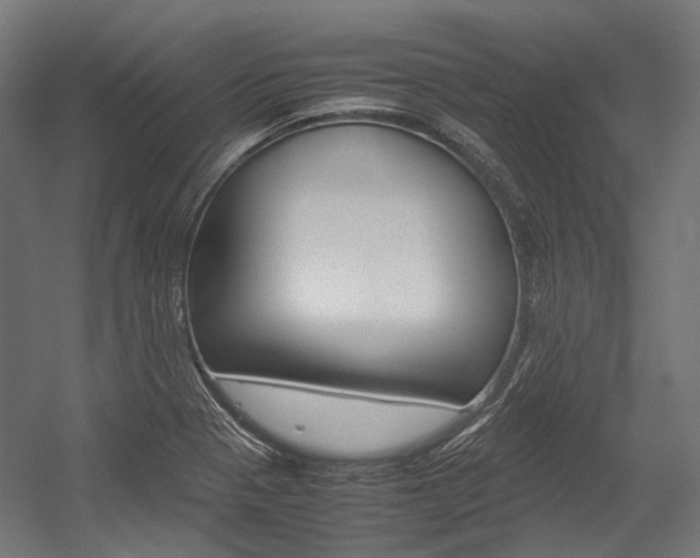 X0000054471321200507291037