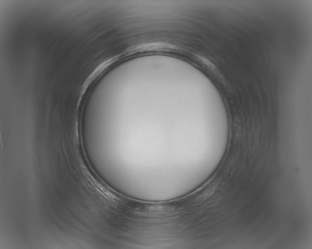 X0000054471322200507291037