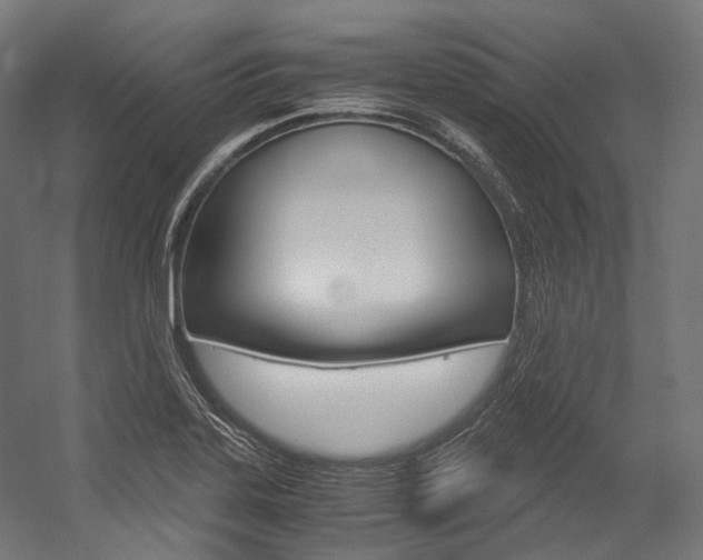 X0000054471323200507291037
