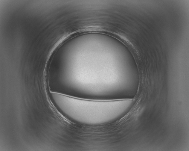 X0000054471325200507291037