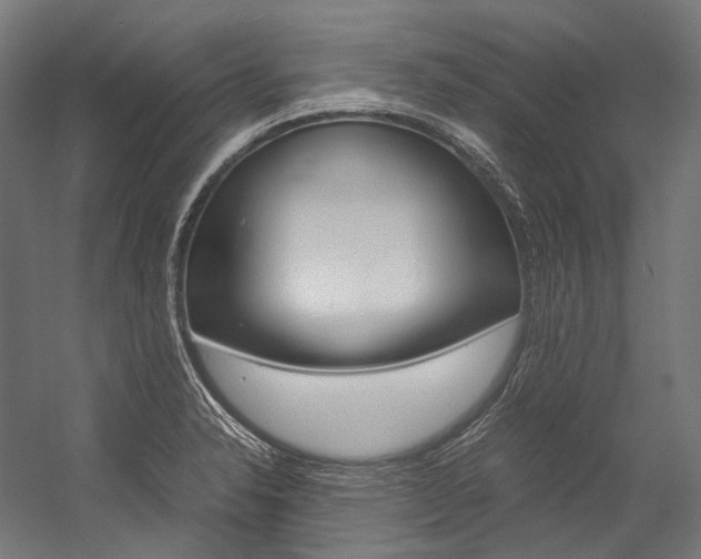 X0000054471326200507291037