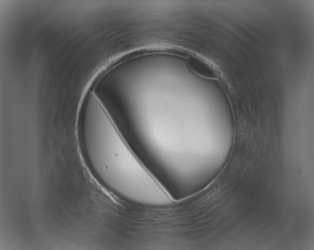 X0000054471327200507291037