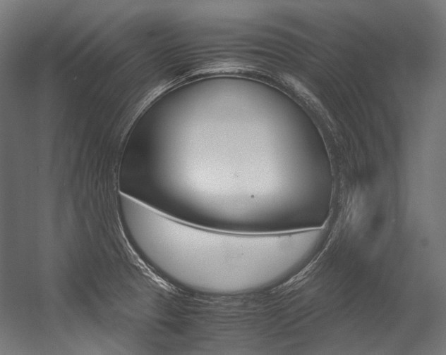 X0000054471329200507291037