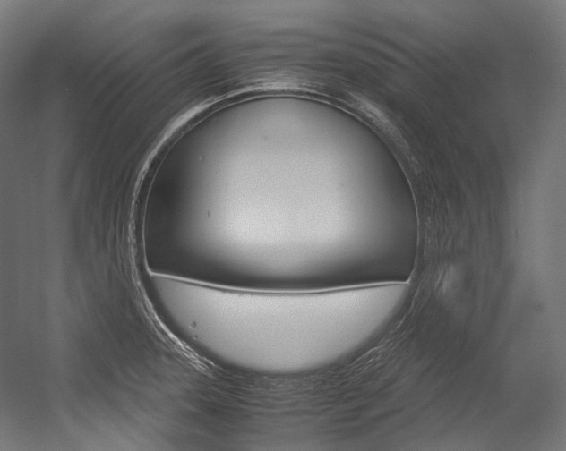 X0000054471331200507291037