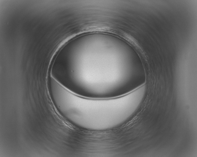 X0000054471332200507291037