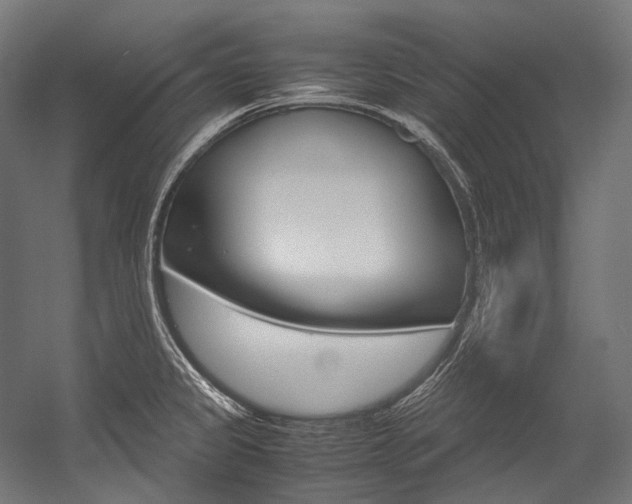 X0000054471333200507291037