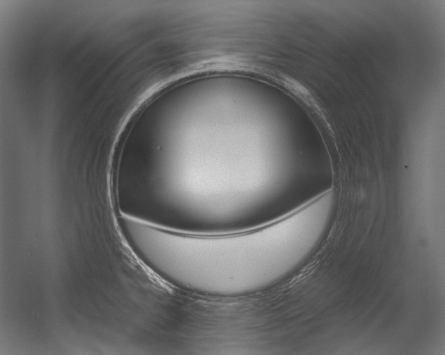 X0000054471334200507291037