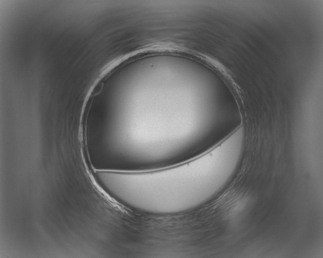 X0000054471335200507291037