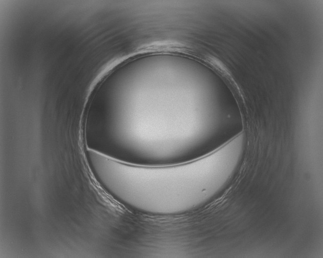 X0000054471336200507291037
