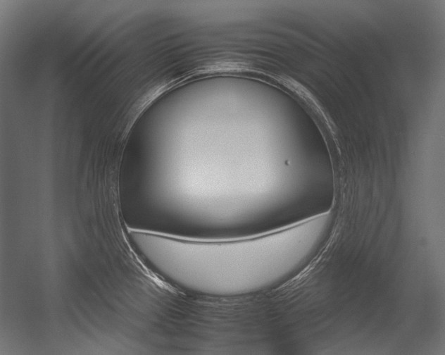 X0000054471337200507291037