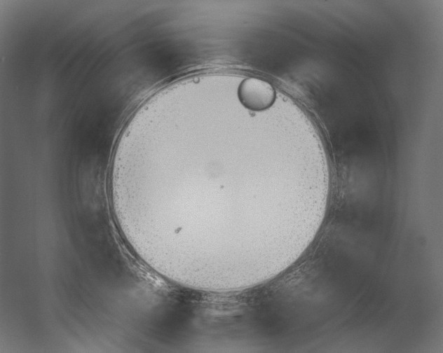X0000054471338200507291037