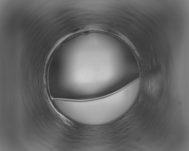 X0000054471339200507291037