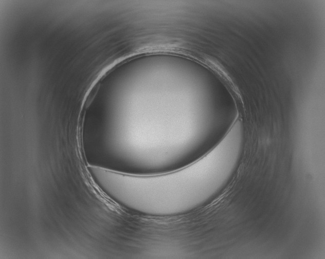 X0000054471340200507291037