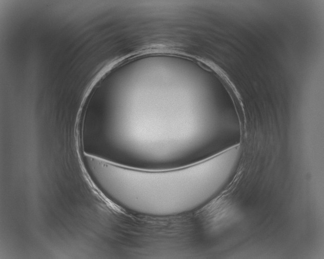 X0000054471341200507291037