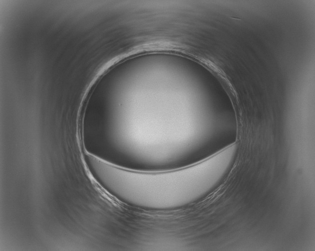 X0000054471342200507291037