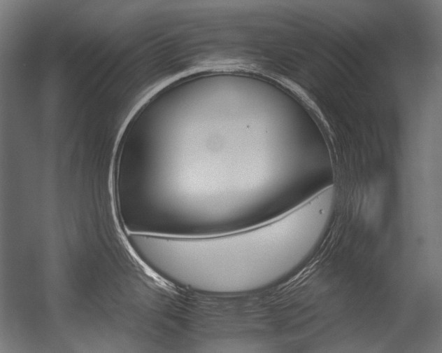 X0000054471343200507291037
