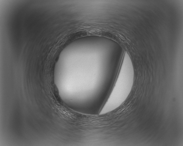X0000054471345200507291037