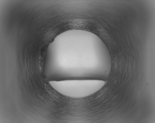 X0000054471346200507291037