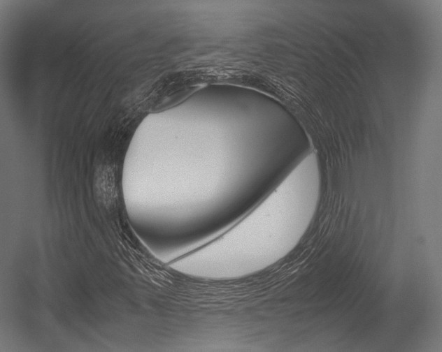 X0000054471347200507291037