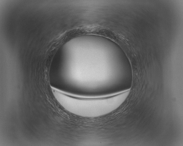 X0000054471349200507291037