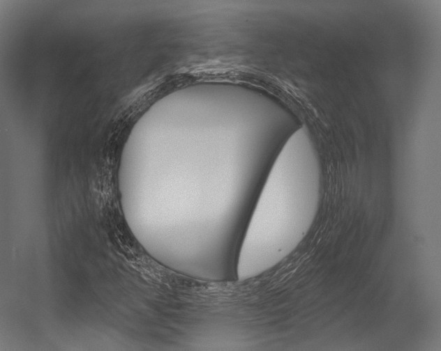 X0000054471350200507291037