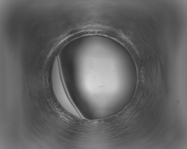 X0000054471352200507291036