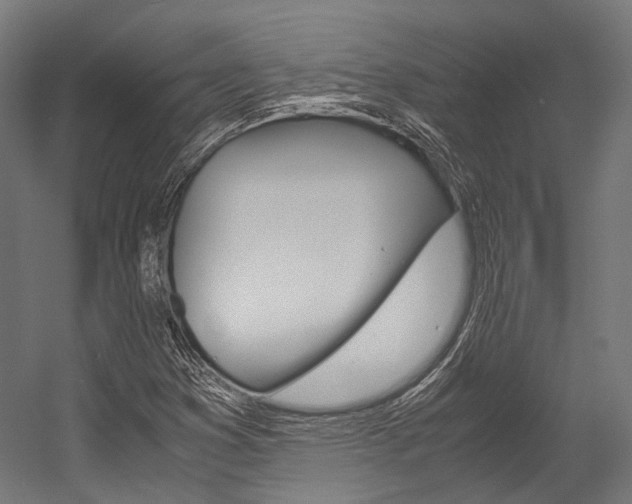 X0000054471353200507291036