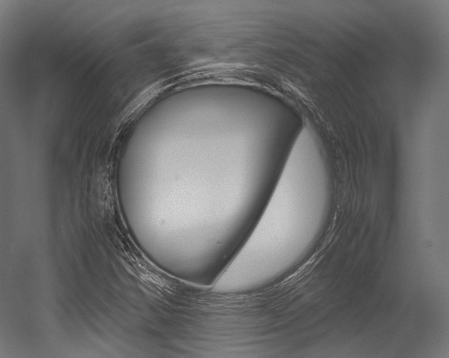 X0000054471354200507291036
