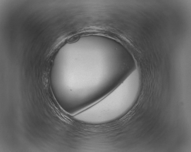 X0000054471355200507291036