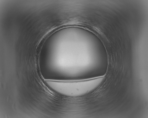 X0000054471356200507291036