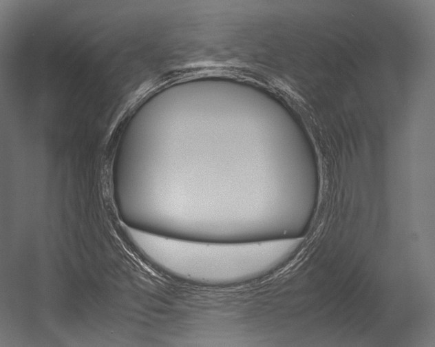 X0000054471357200507291036