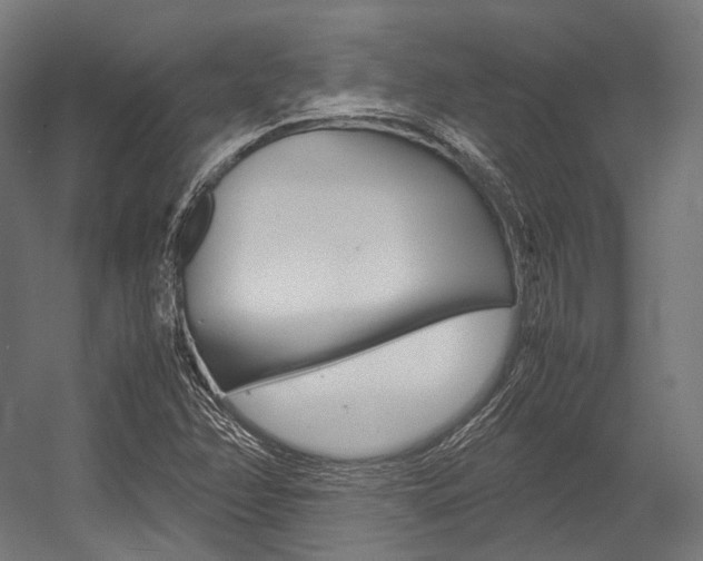 X0000054471358200507291036