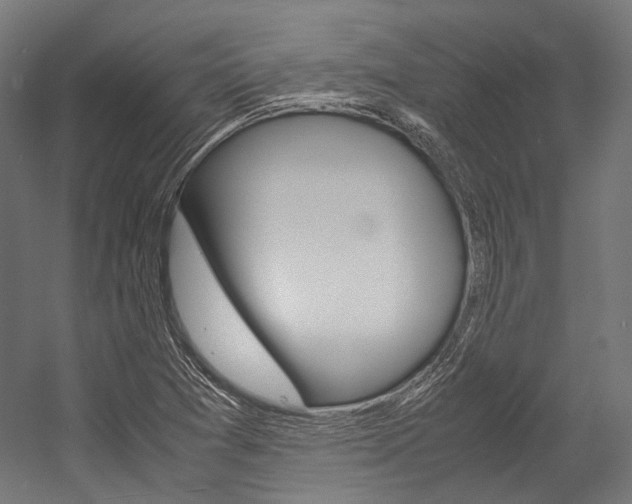 X0000054471361200507291036