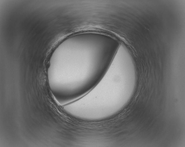 X0000054471363200507291036