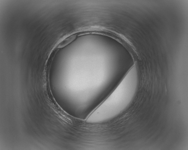 X0000054471364200507291036