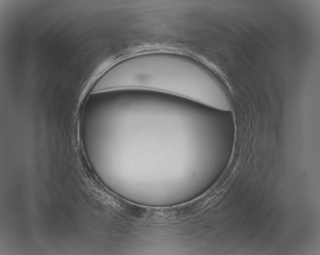 X0000054471365200507291036