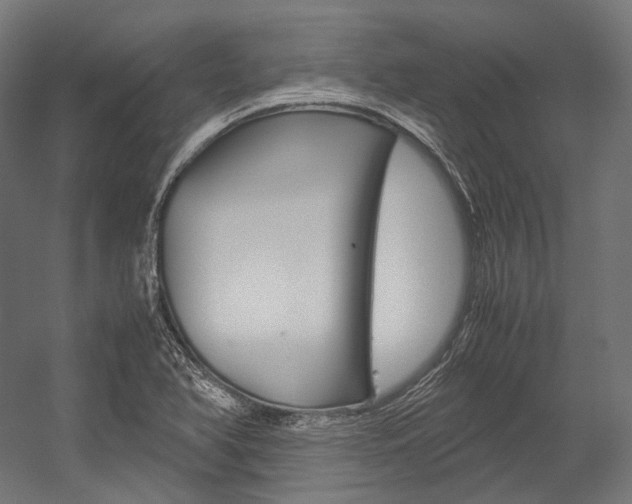 X0000054471366200507291036