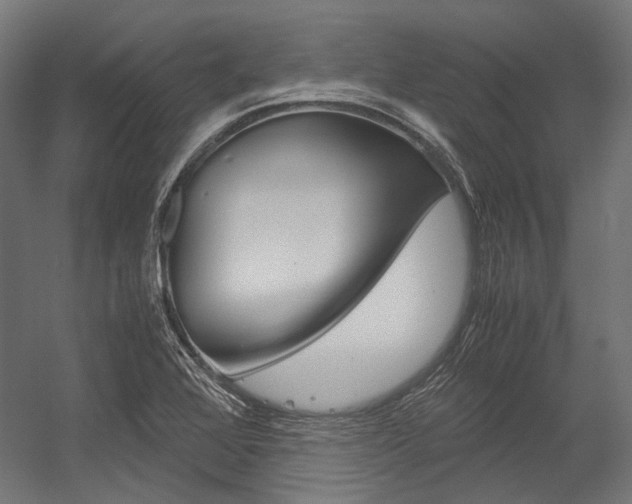 X0000054471368200507291036