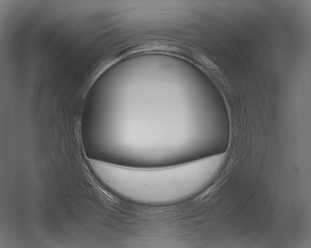 X0000054471369200507291036
